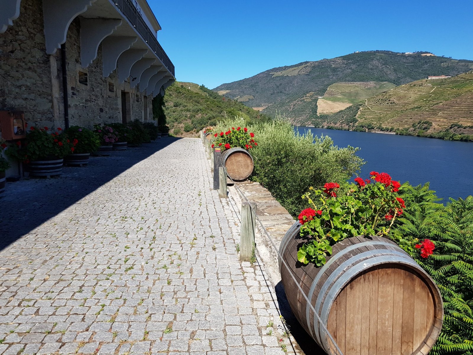 kati swiatlowska travel