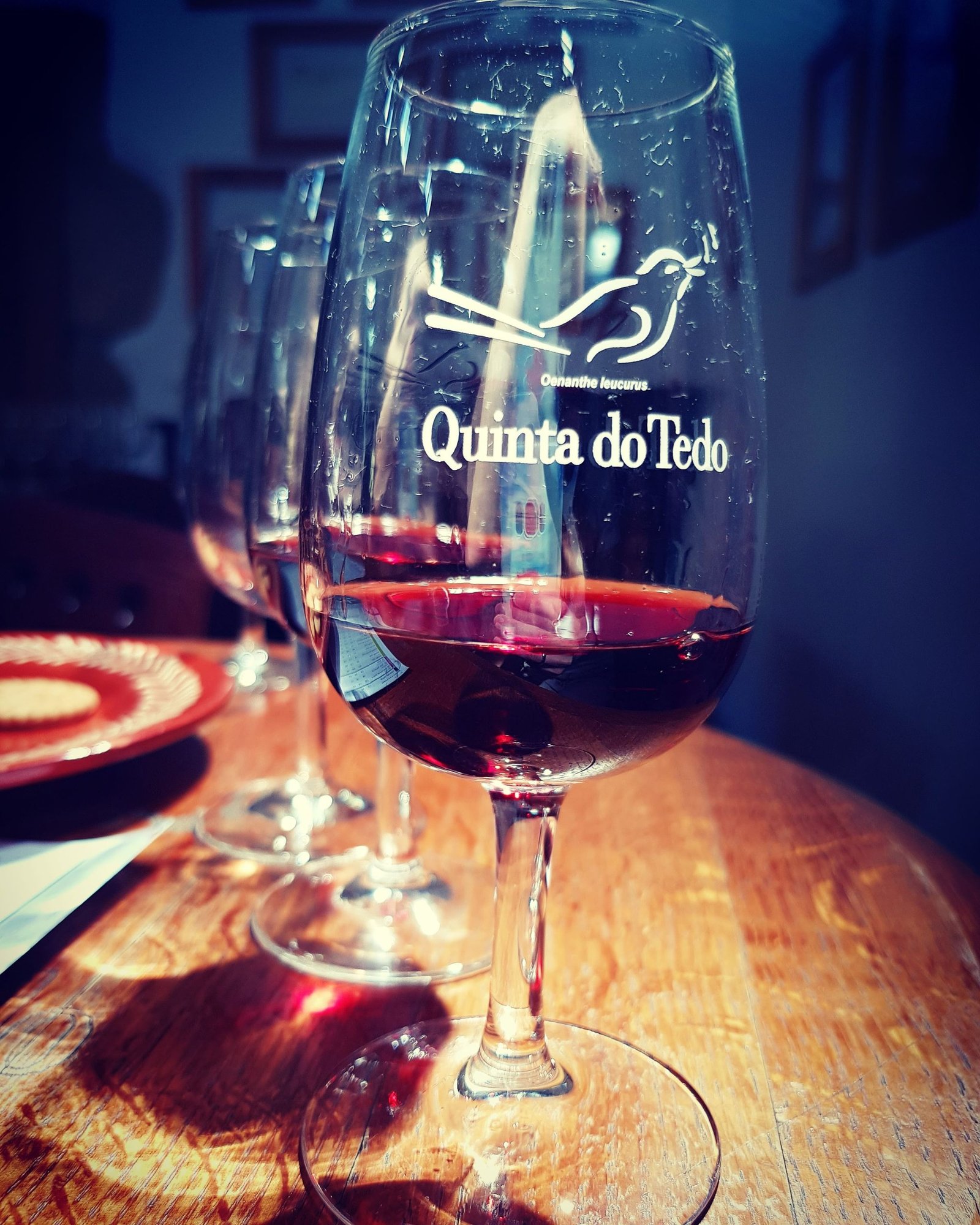 kati swiatlowska travel